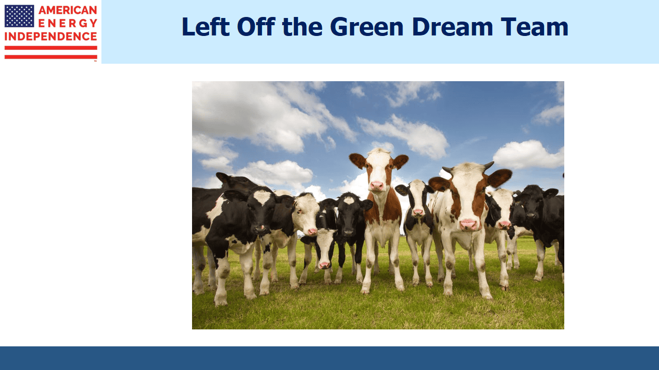 The Green New Deal The Green New Deal